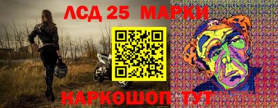 прущие грибы Кандалакша