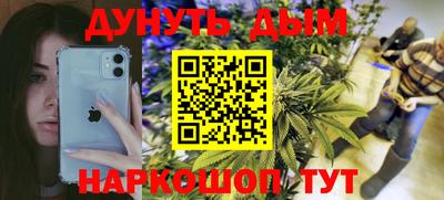 прущие грибы Кандалакша