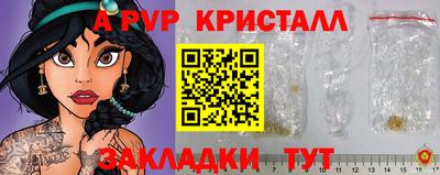 прущие грибы Кандалакша
