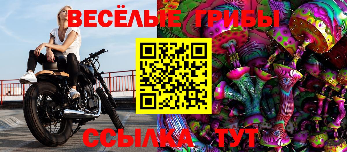 Псилоцибиновые грибы прущие грибы  Галлюциногенные грибы Cubensis  Вход с VPN  Кунгур 